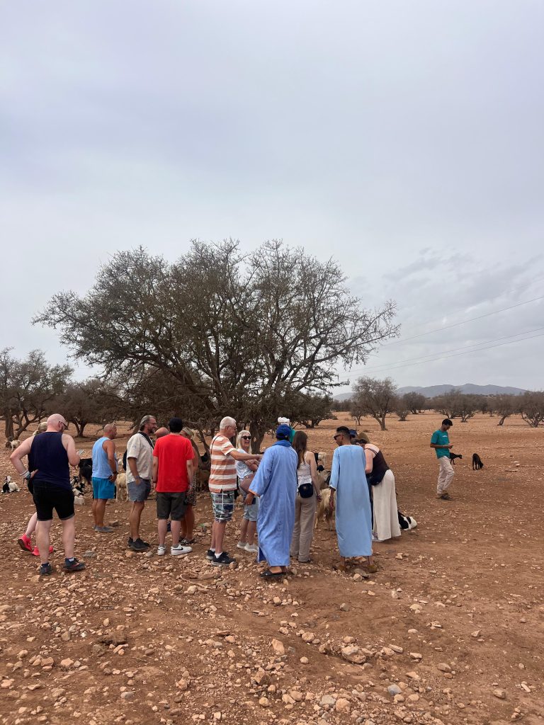 The Little Desert of agadir — Tiznit, Massa & Sidi R’bat