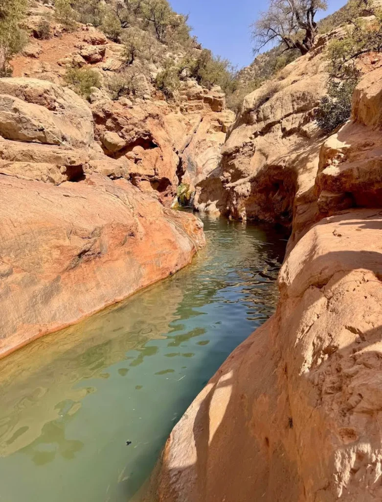 Paradise Valley