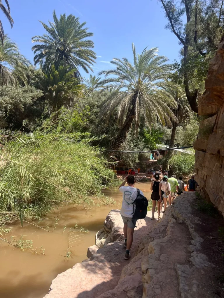 Paradise Valley