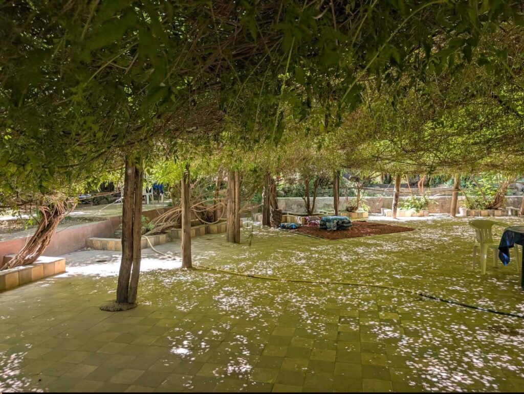 Taroudant & Tiout Oasis