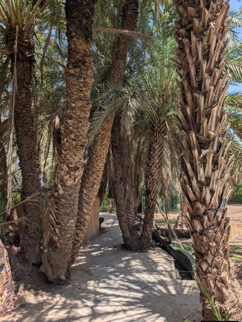 The Little Desert of agadir — Tiznit, Massa & Sidi R’bat