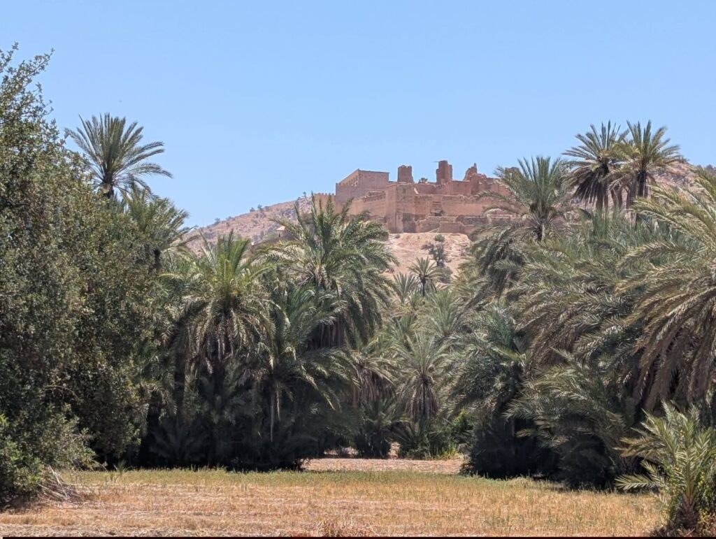 Taroudant & Tiout Oasis