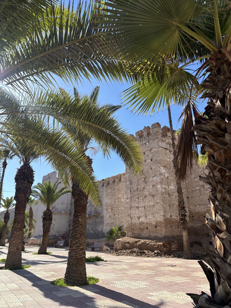 Taroudant & Tiout Oasis