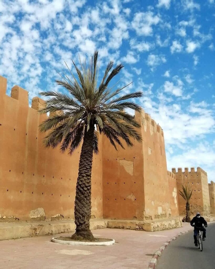 Taroudant & Tiout Oasis