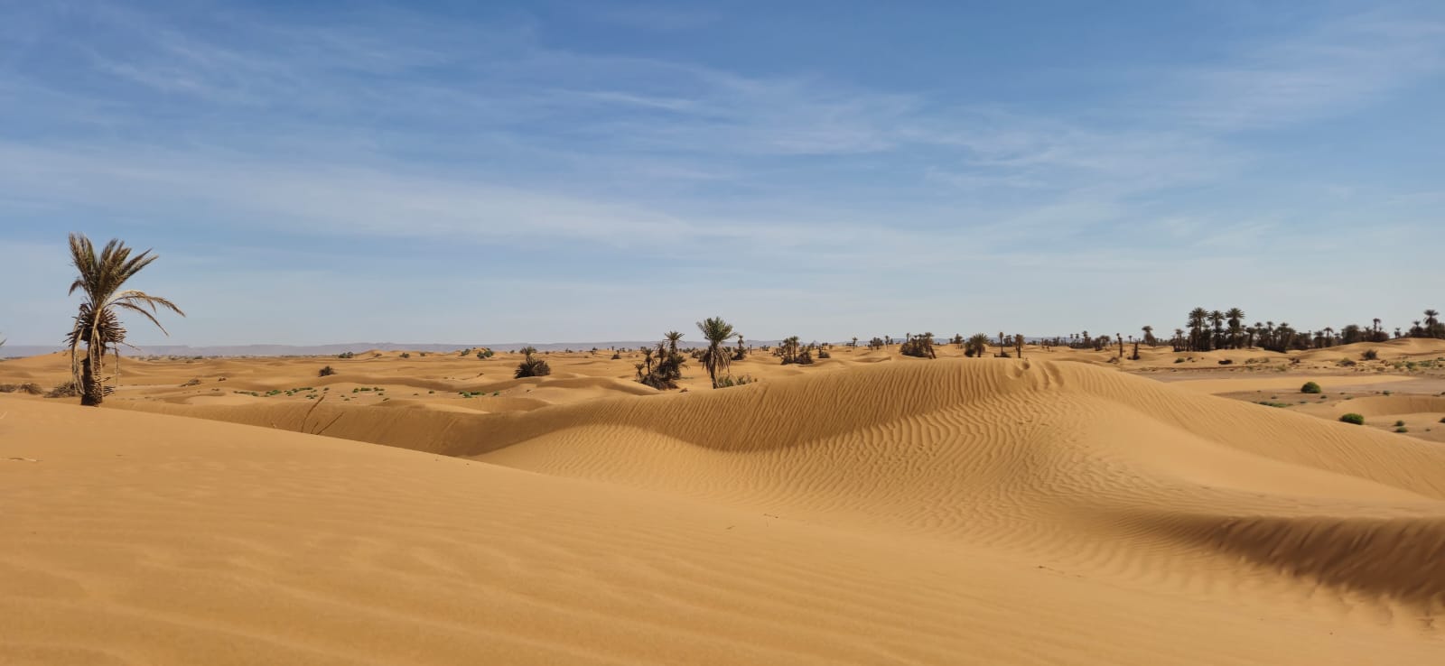 2 Days / 1 Night: Agadir to M’Hamid El Ghizlane Desert Circuit