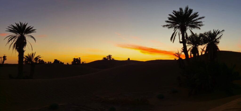 Sahara Tours
