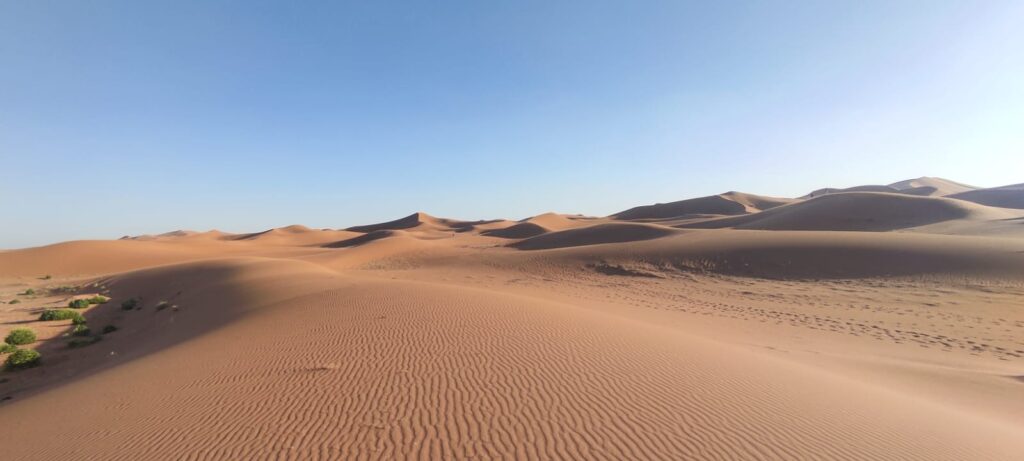 Sahara Tours