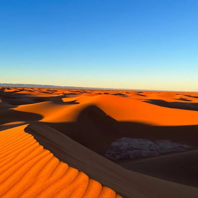 Trek 1 Day: Camel Trek from M'Hamid to the Dunes