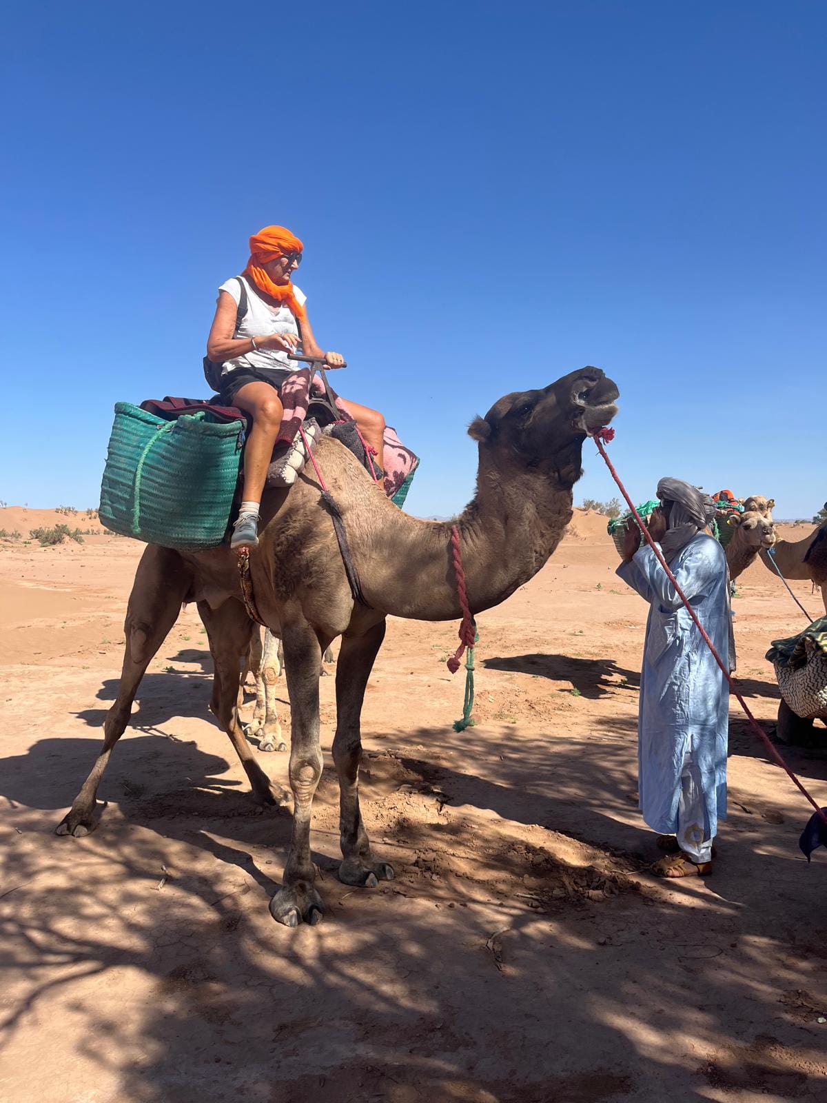 Trek 1 Day: Camel Trek from M’Hamid to the Dunes
