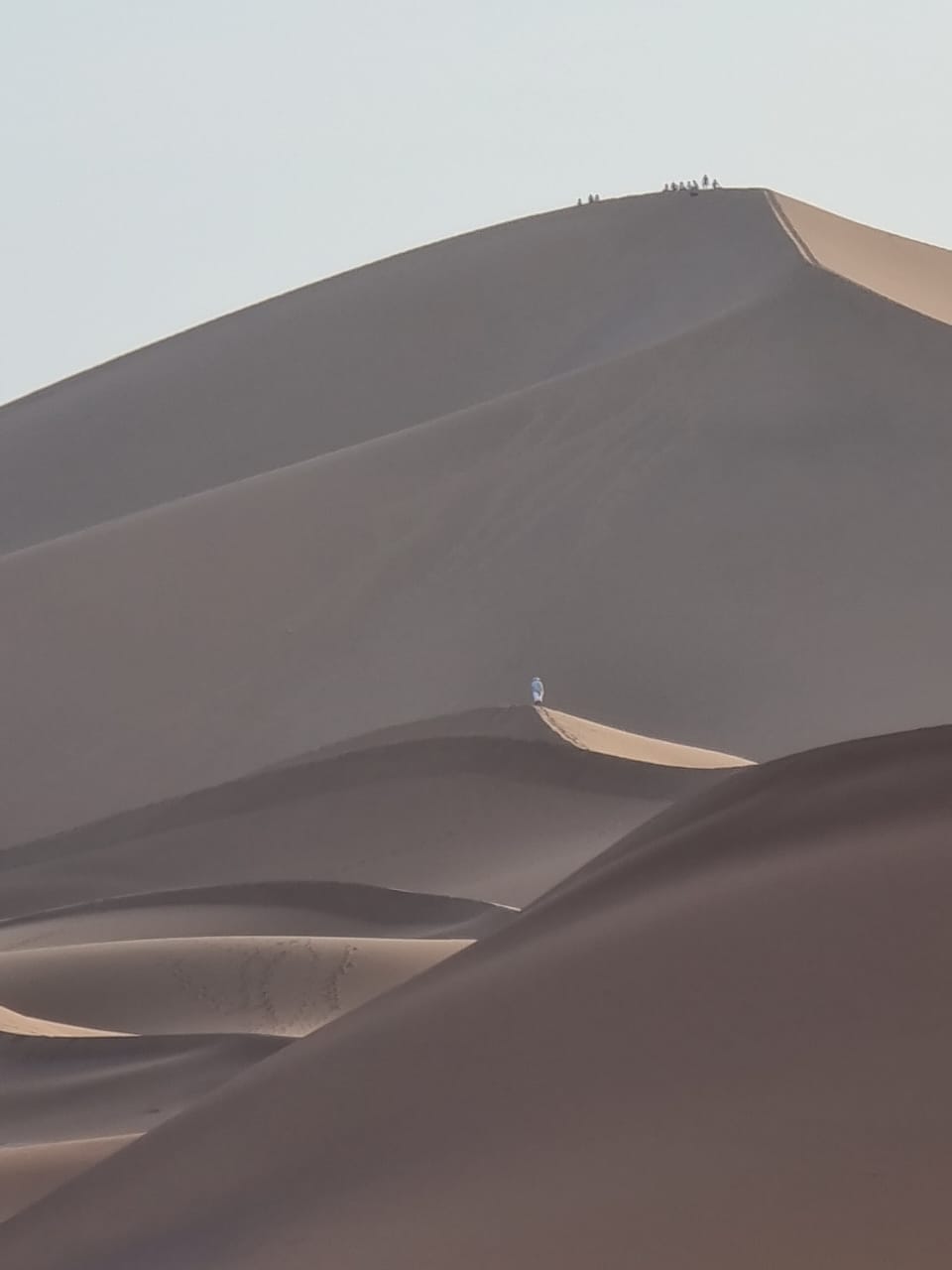 Trek 1 Day: Camel Trek from M’Hamid to the Dunes