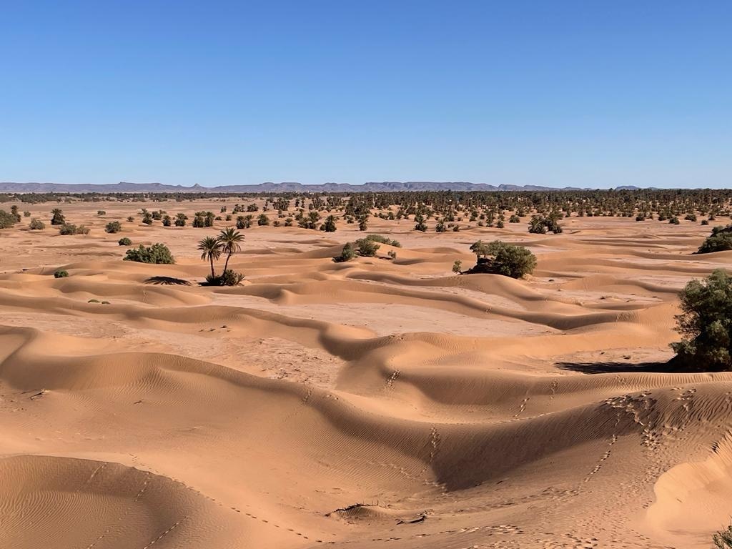 Trek 2 Days: M'Hamid to Sidi Naji and Erg Douib by Camel