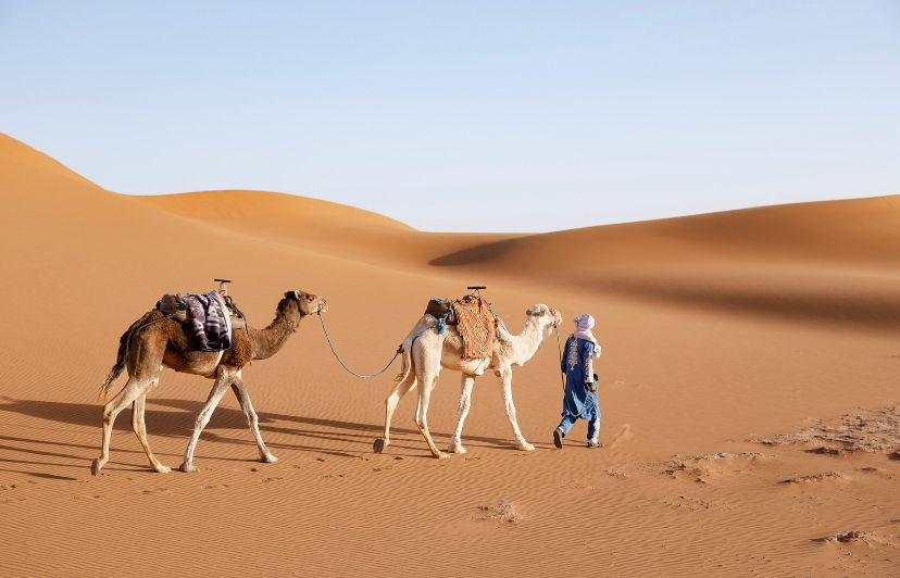 Trek 2 Days: M’Hamid to Sidi Naji and Erg Douib by Camel