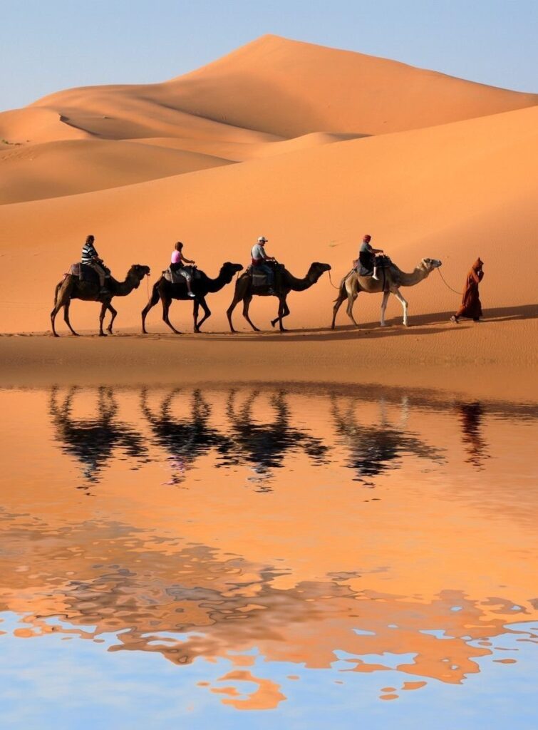 Sahara Tours