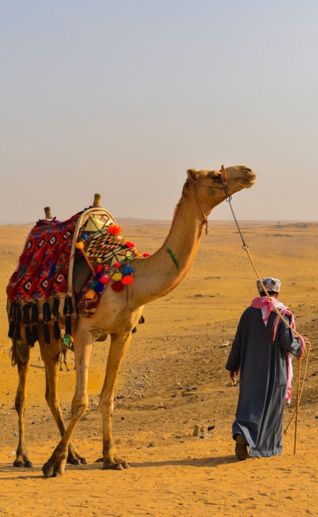 Trekking & Camels
