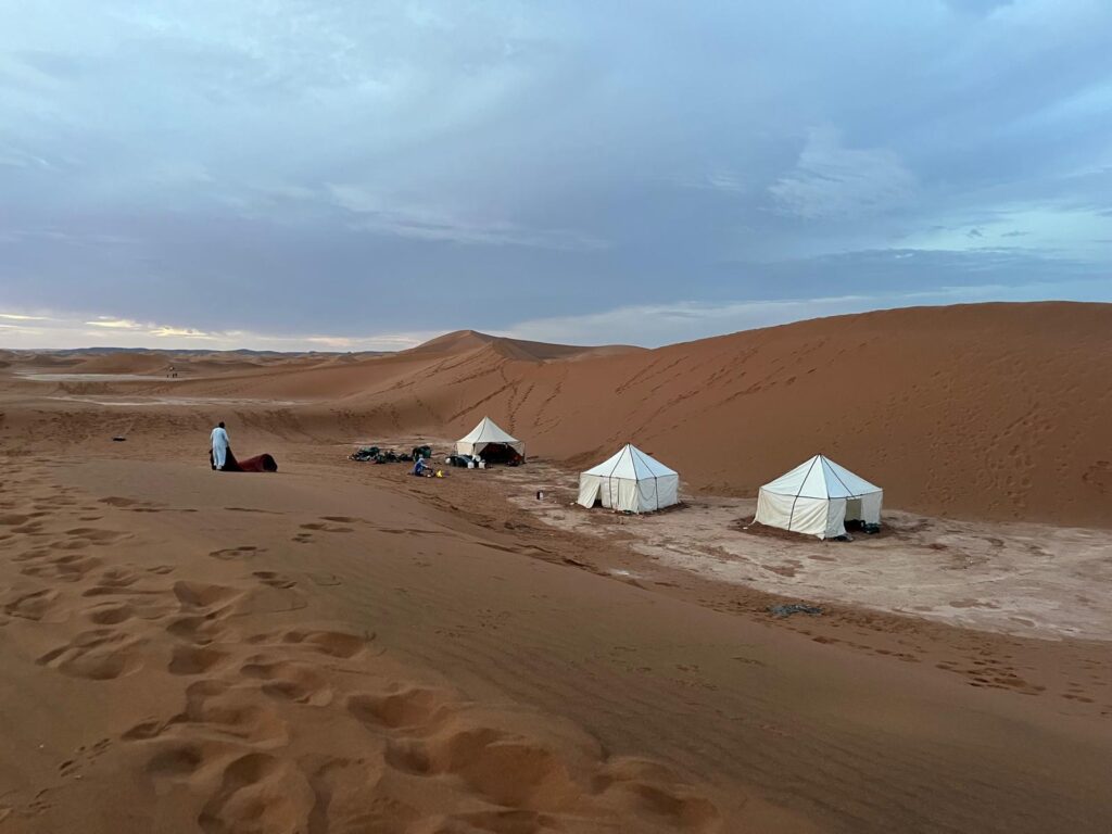 Trekking & Camels
