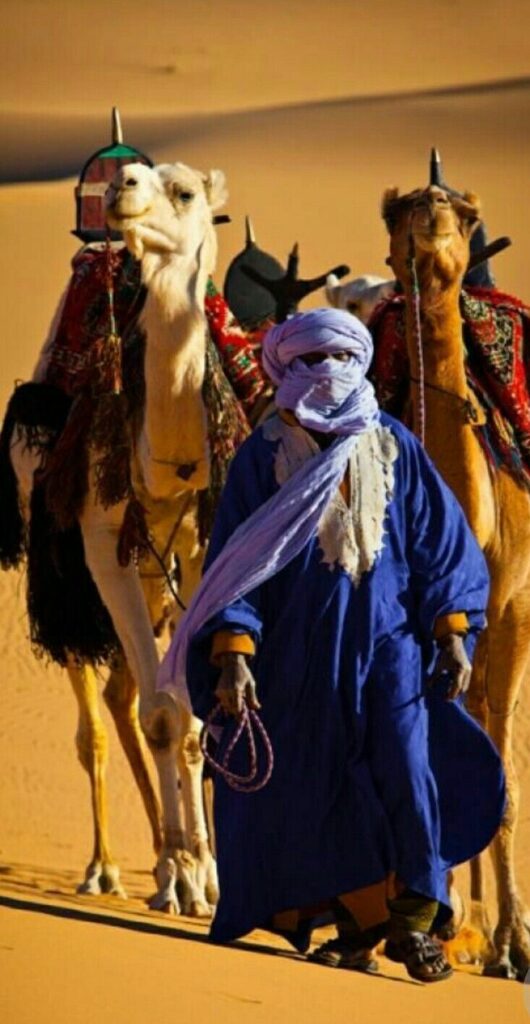 Trekking & Camels