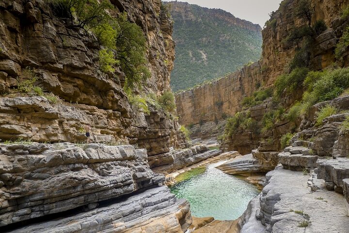 Paradise Valley