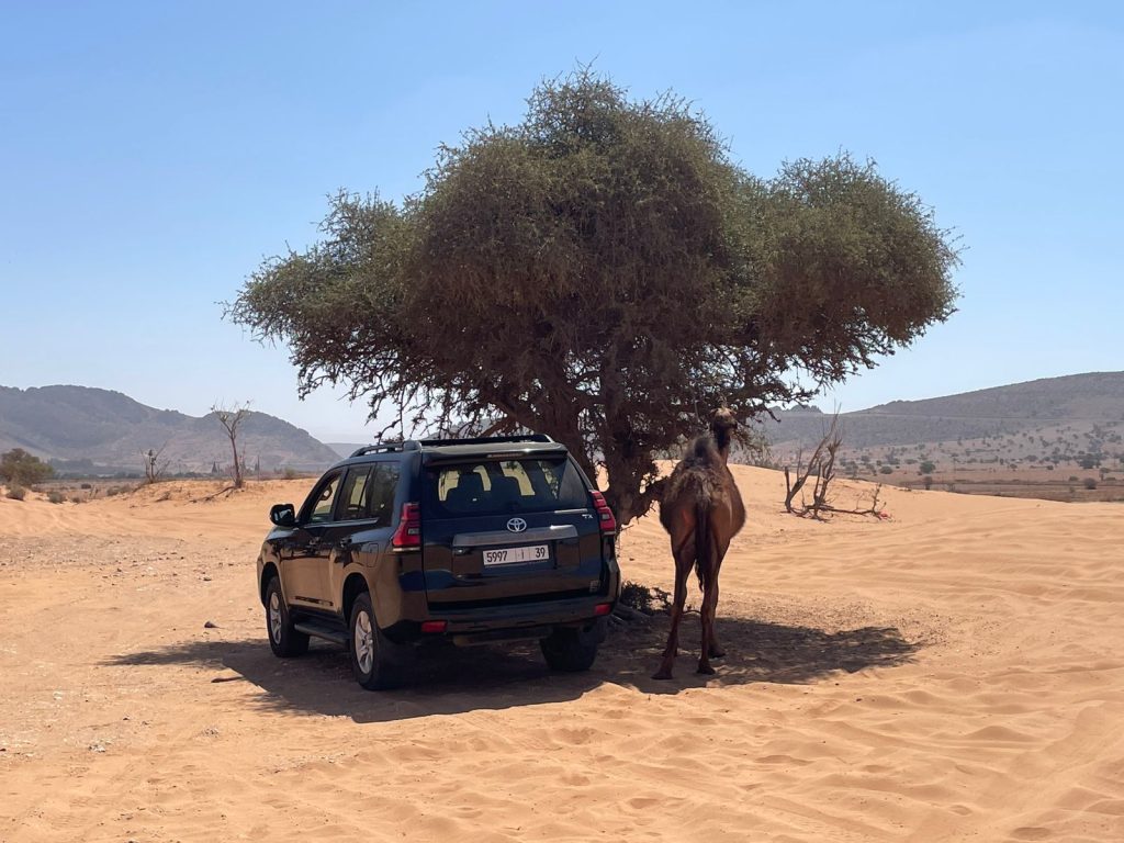 The Little Desert of agadir — Tiznit, Massa & Sidi R'bat