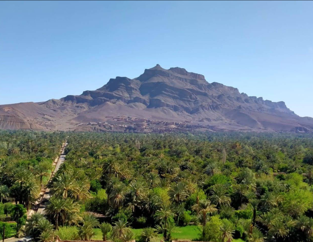 Sahara Tours