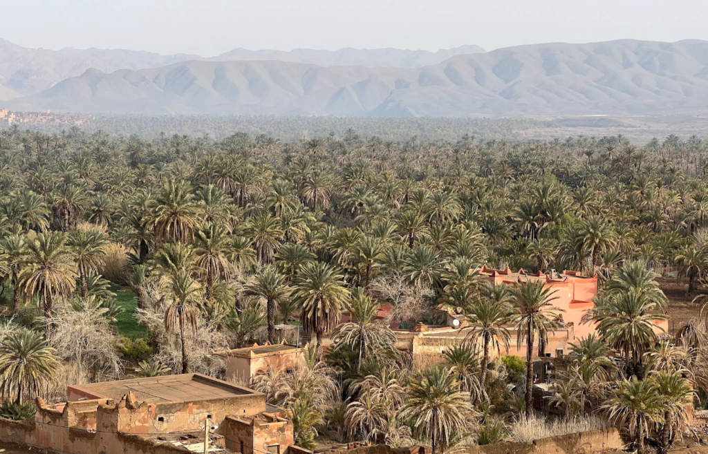 3 Days / 2 Nights: Marrakech to Chegaga Dunes via Agdez