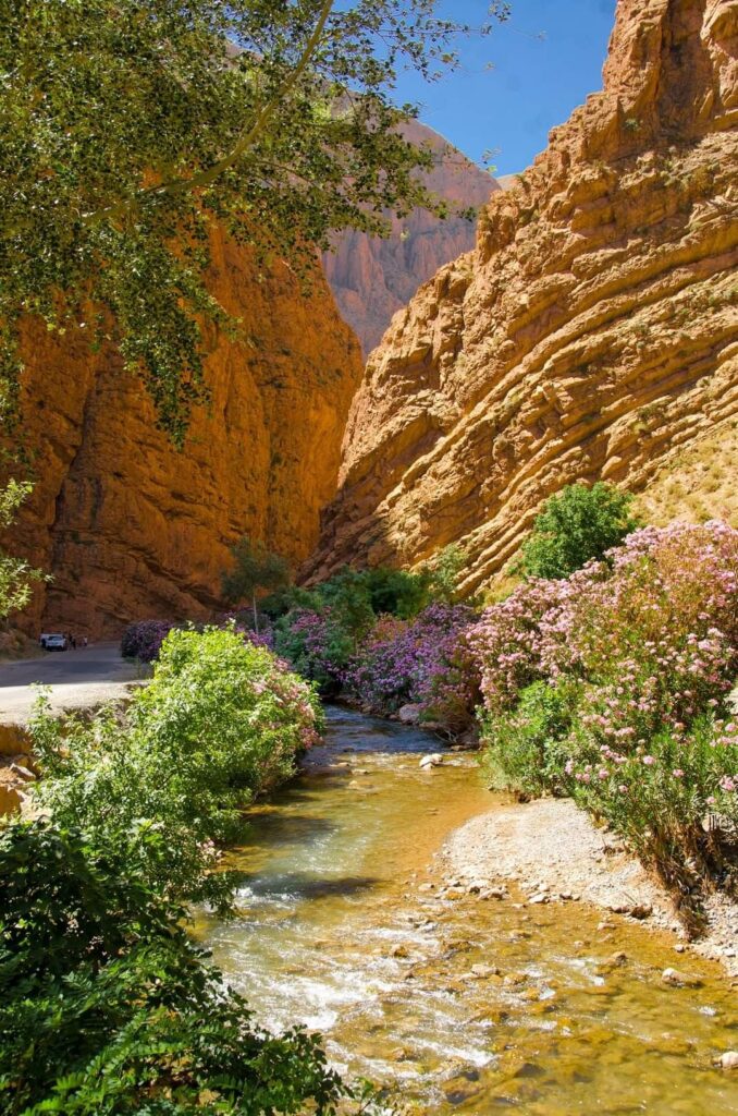 Sahara Tours