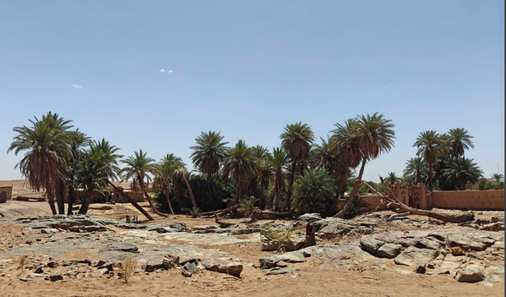 2 Days / 1 Night: Chegaga Desert Adventure from M’Hamid