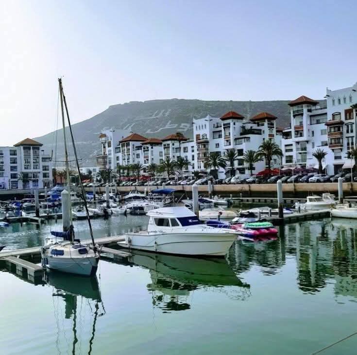 Agadir City Tour, Crocoparc & Goats in the Argan Trees