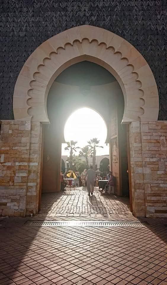 Agadir City Tour, Crocoparc & Goats in the Argan Trees