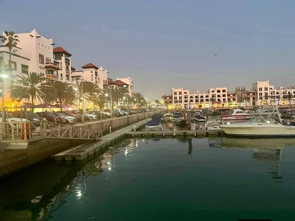 Agadir City Tour, Crocoparc & Goats in the Argan Trees