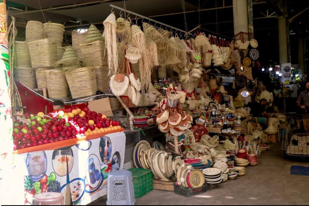 Agadir City Tour, Crocoparc & Goats in the Argan Trees