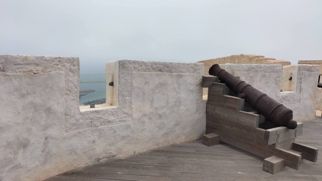 Agadir City Tour, Crocoparc & Goats in the Argan Trees