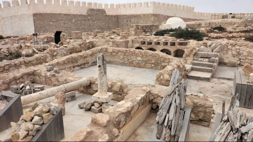 Agadir City Tour, Crocoparc & Goats in the Argan Trees