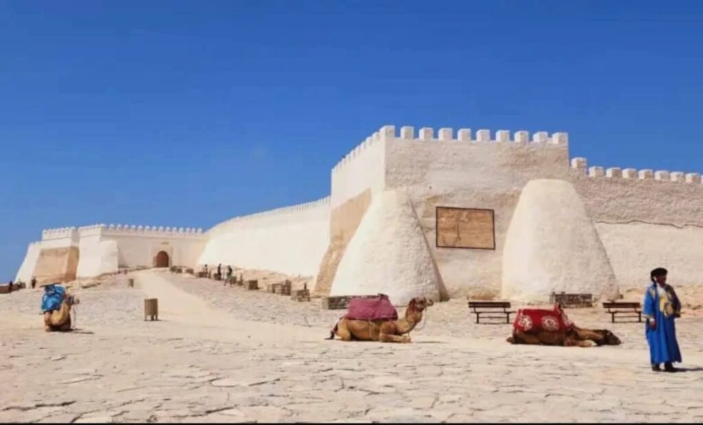 Agadir City Tour, Crocoparc & Goats in the Argan Trees