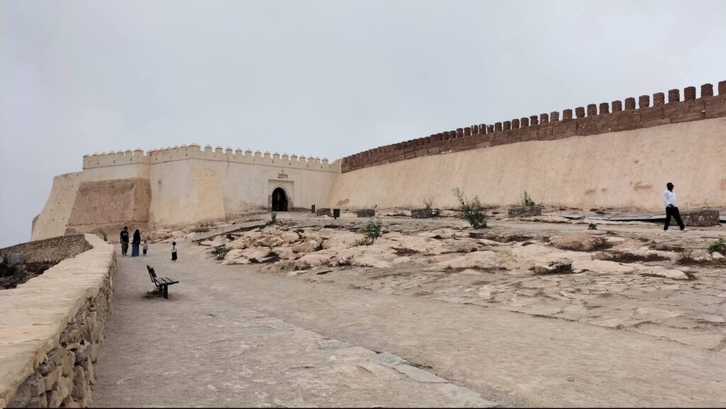 Agadir City Tour, Crocoparc & Goats in the Argan Trees