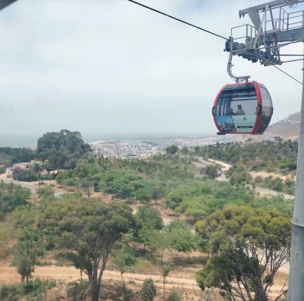 Agadir City Tour, Crocoparc & Goats in the Argan Trees
