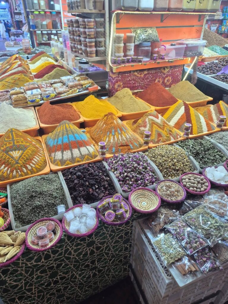 Agadir City Tour, Crocoparc & Goats in the Argan Trees