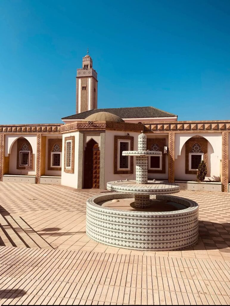 Agadir City Tour, Crocoparc & Goats in the Argan Trees