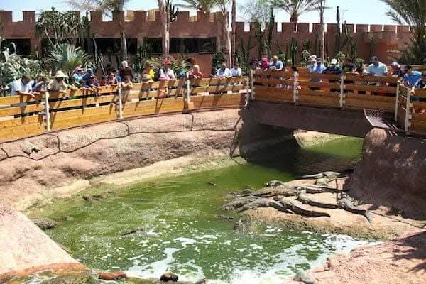 Agadir City Tour, Crocoparc & Goats in the Argan Trees