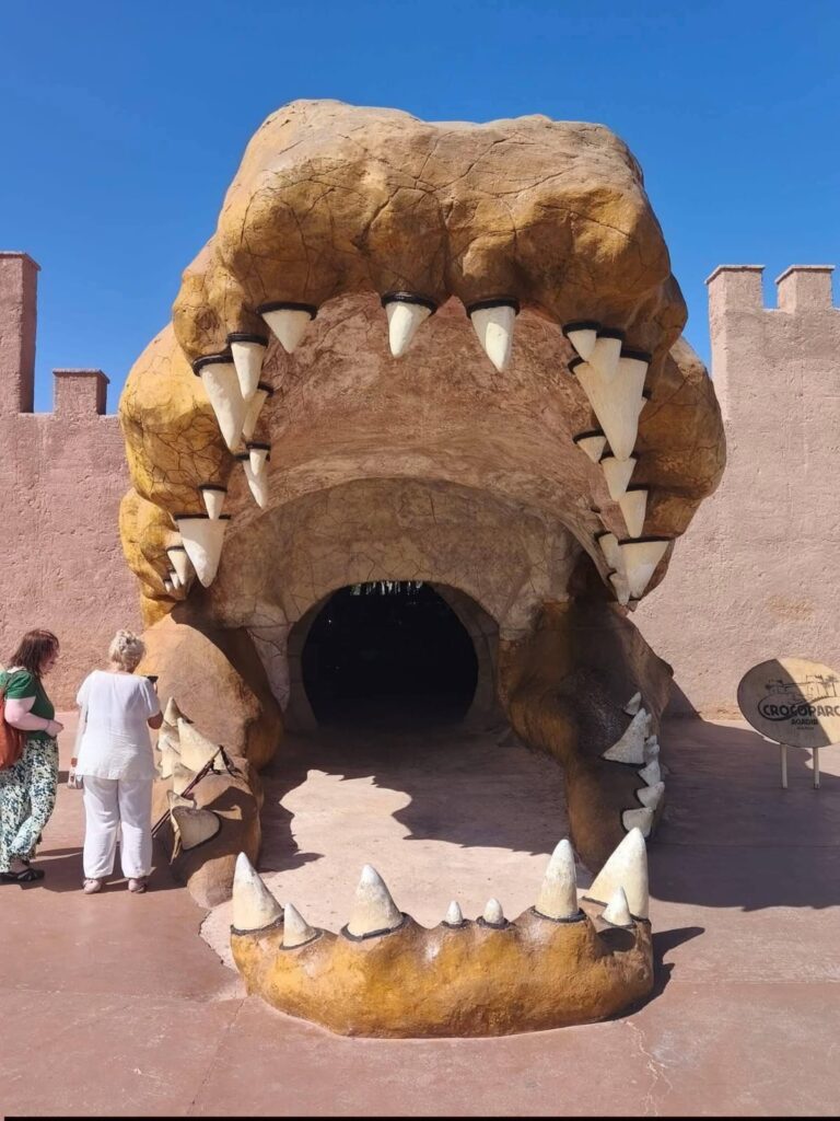 Agadir City Tour, Crocoparc & Goats in the Argan Trees