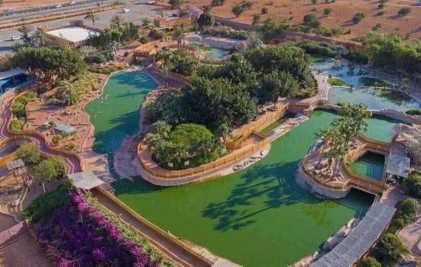 Agadir City Tour, Crocoparc & Goats in the Argan Trees