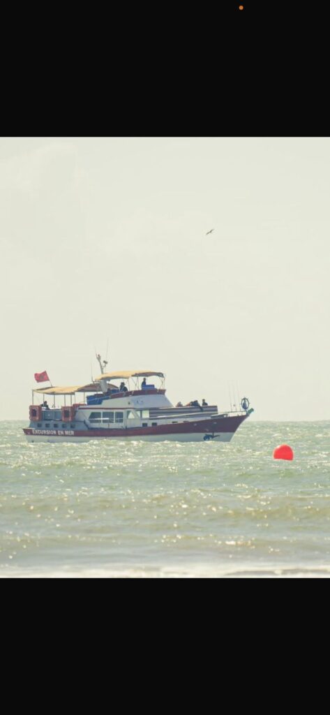 Boat Trip — 4 Hours at Sea