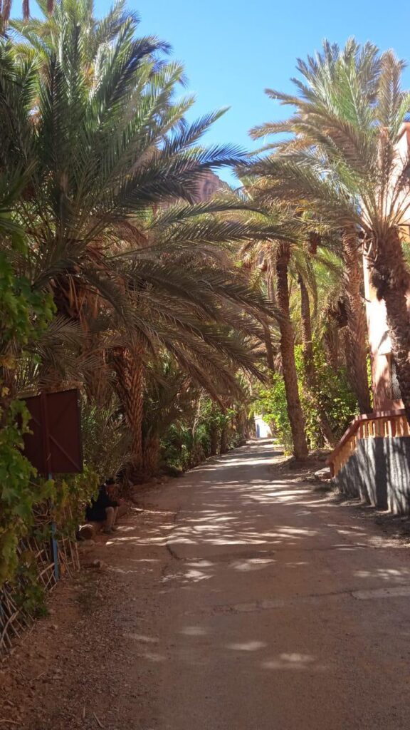 Tafraoute & the Painted Rocks