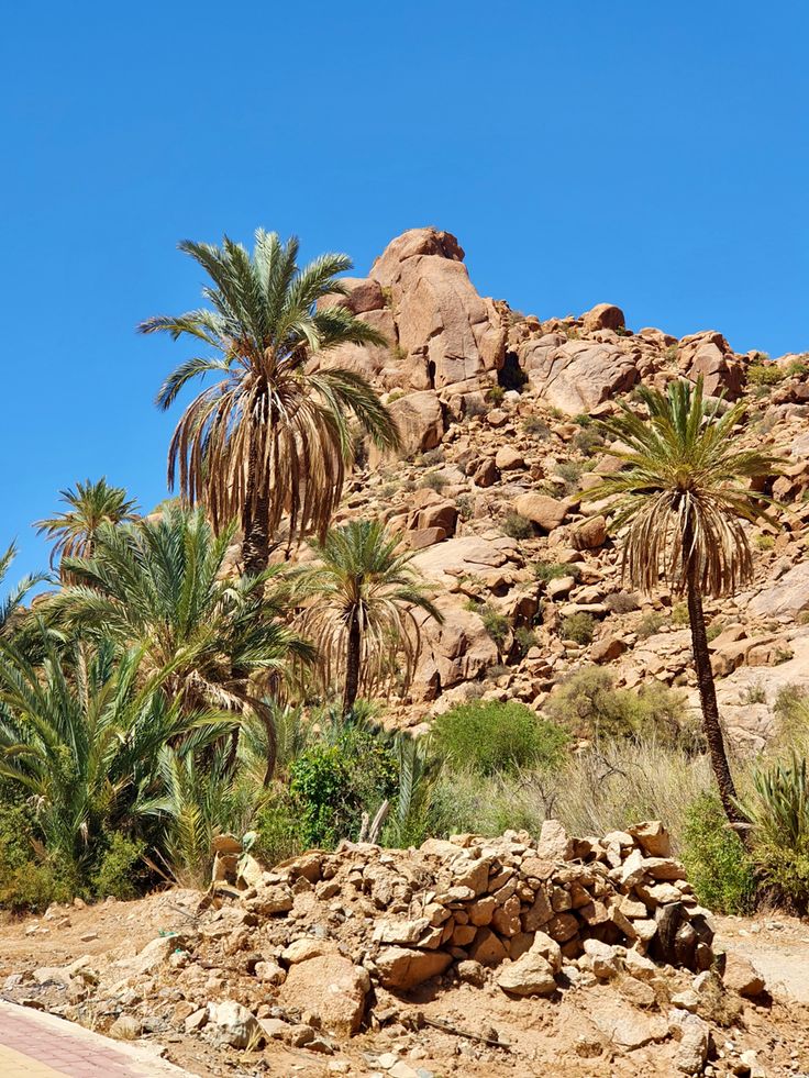 Tafraoute & the Painted Rocks