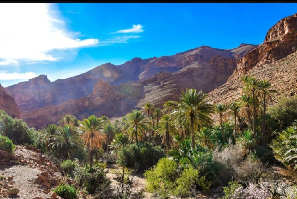 Tafraoute & the Painted Rocks