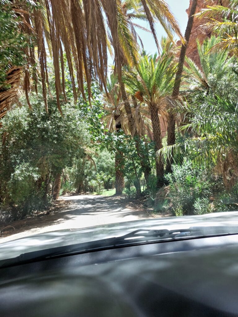 Tafraoute & the Painted Rocks