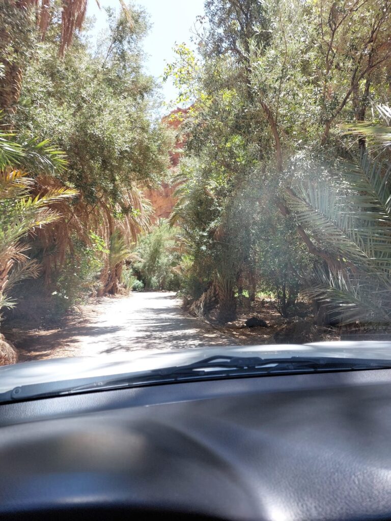 Tafraoute & the Painted Rocks