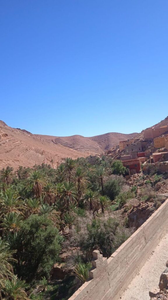 Tafraoute & the Painted Rocks
